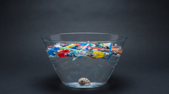 Glass Bowl Water One Seashell Surrounded Many Plastic Waste Pieces Plastic Pollution Outnumbers Marine Life Ocean Concept
