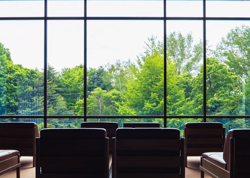 Glass window building View with Green Garden Park Ecology environment Sustainable Architecture design 