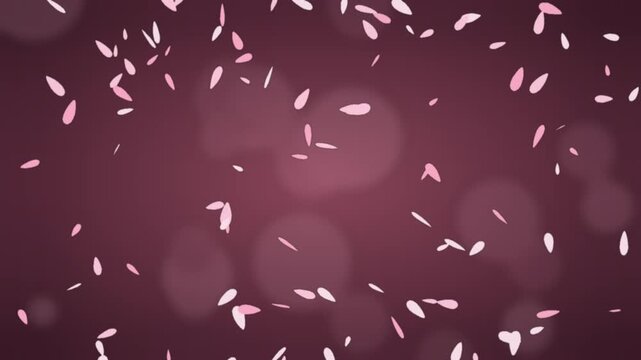 桜の花びらが舞う背景　配信や解説動画の背景ループ