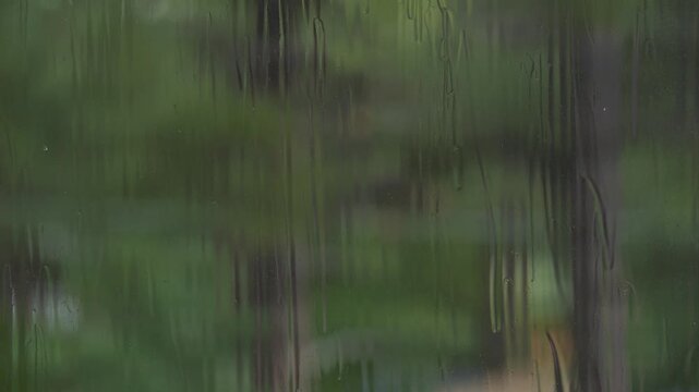 Rain drops fall on a glass window pane with forest in the background