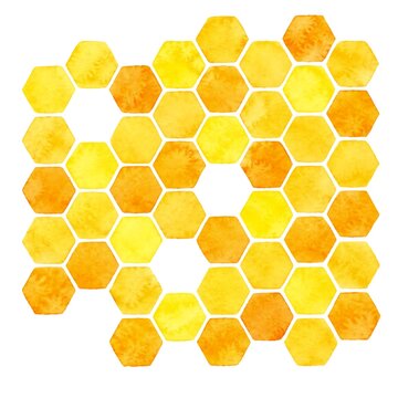 honeycomb on white background