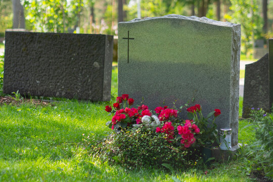 Engraved gravestone with cross and red roses