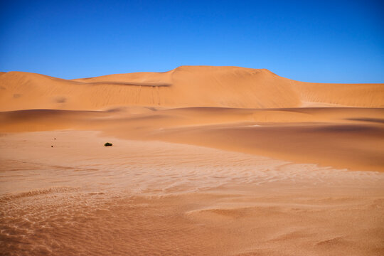 Geschwungene Sandd&uuml;nen mit weichen Schatten und klaren Linien pr&auml;gen die W&uuml;stenlandschaft in der Namib bei Swakopmund.