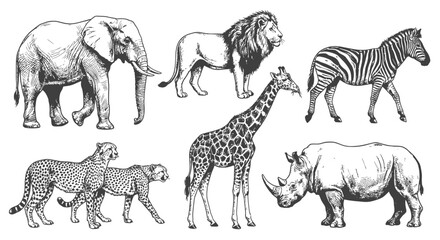 Fototapeta premium Hand-drawn set of African safari animals including elephant, lion, giraffe, zebra, rhinoceros, and spotted cheetahs. Detailed black and white line art illustrations on white background.