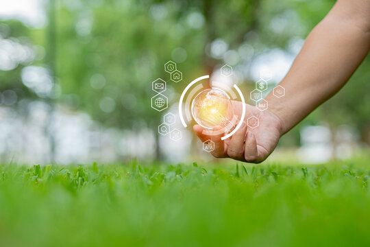 Light bulbs that grow, in the concept of energy in nature.