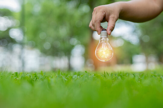 Light bulbs that grow, in the concept of energy in nature.