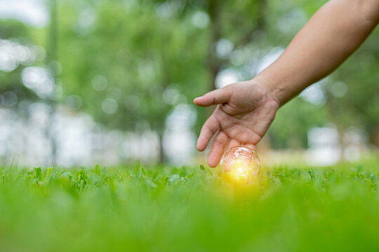 Light bulbs that grow, in the concept of energy in nature.