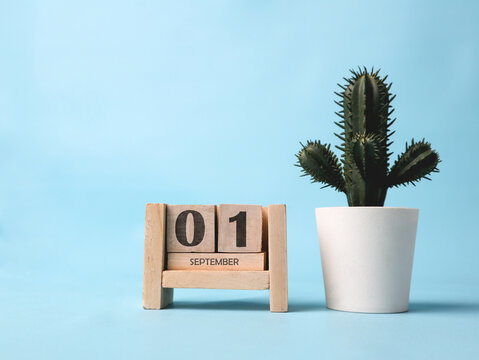 A wooden block calendar for September 1st with a plastic cactus plant on the side on a light blue background.