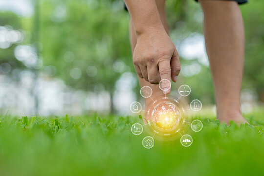 Light bulbs that grow, in the concept of energy in nature.