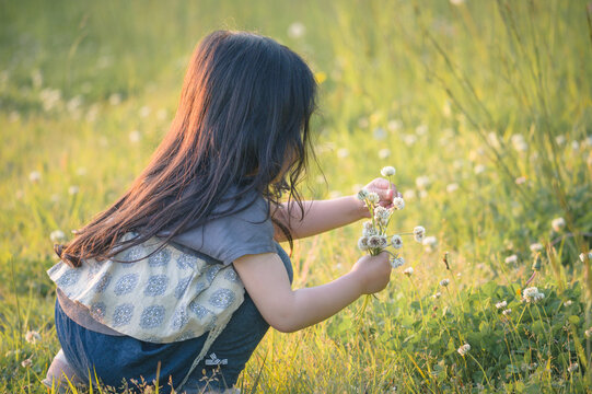 逆光の草原でシロツメクサを摘む女の子｜夏の野の花と過ごす自然な子供時代の一コマ/Girl crouching to pick white clover blossoms in a backlit summer meadow