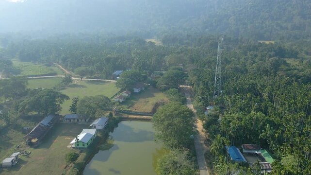 Village houses, a tree-lined pond and tall communication tower sit amid dense greenery, showing connected rural life in Jalukbari, Assam.