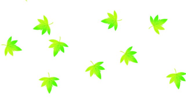 舞いながら落ちる紅葉のアニメーション　銀杏　もみじ　