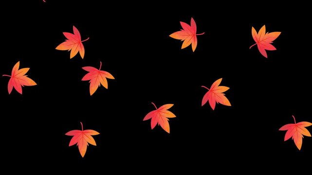 舞いながら落ちる紅葉のアニメーション　銀杏　もみじ　