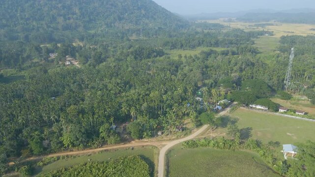 A village crossroad winds through dense palm trees and lush greenery, highlighting transport routes and tropical countryside in Jalukbari, Assam.