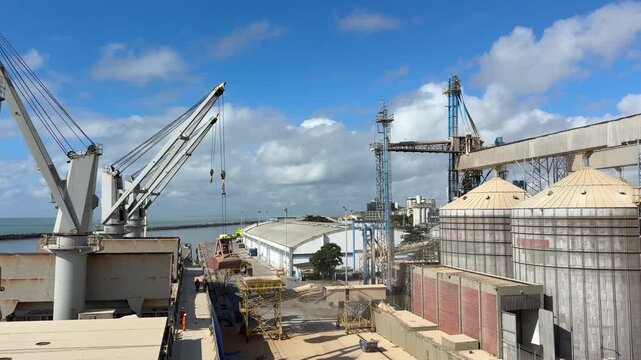 Discharging malt, grain cargo from ship to hopper with belt conveyor and transfering to silo tanks. Port infrastructure and cargo operations.