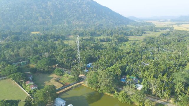 Dense palm cover, rolling hills and scattered village settlement form a scenic tropical landscape in Jalukbari, Kamrup, Assam.