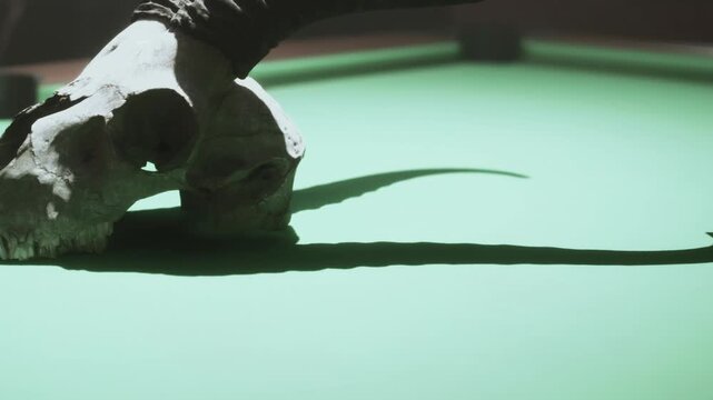 A skull with long horns is resting on a green pool table in a bar. The light casts a shadow of the skull on the table. The setting is dimly lit, creating a unique scene.