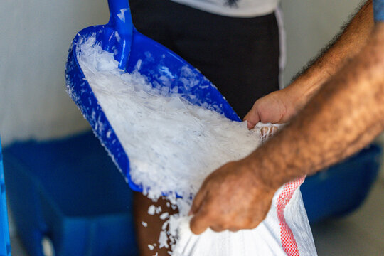 Leaf Ice Used for Fish Storage &ndash; Crushed Ice Preserving Fresh Seafood at a Fish Market