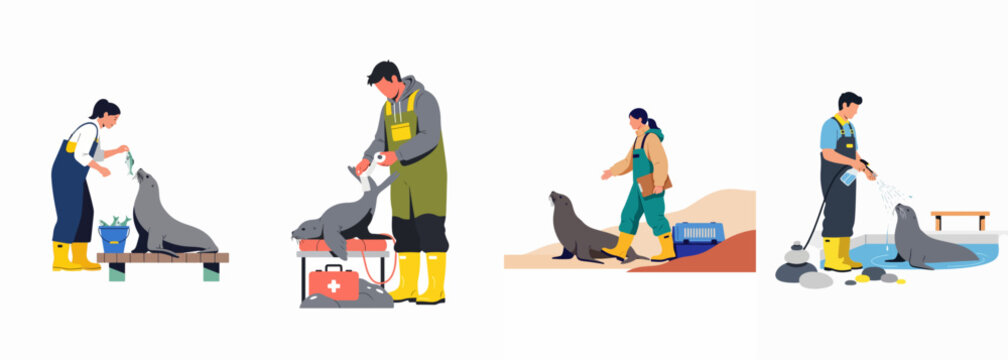 Set of professional zookeepers and marine biologists caring for sea lions and seals in an aquarium, featuring feeding, medical checkups, and habitat cleaning for wildlife conservation.