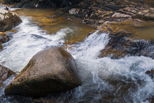 Water cascading over large boulder in a fast-flowing forest stream.