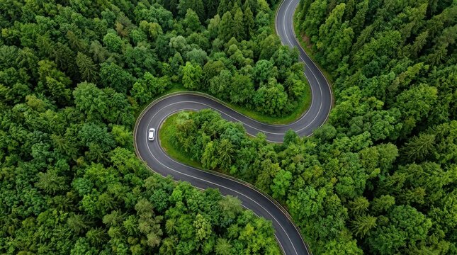 Aerial view of a winding road through a dense forest