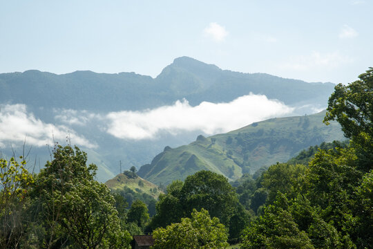 Majestic Mountain Peak Rising Above Low Cloud Layer and Forested Slopes