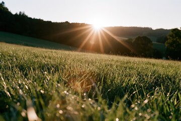 Obraz premium The Sunrise Field Bathed in Golden Light Over Rolling Hills