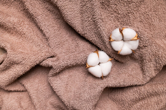 White cotton flowers arranged on soft brown towel highlight cotton material, natural fiber, soft feel of fabric, and muted pastel colors. Textile detail for spa, home and wellness campaigns.