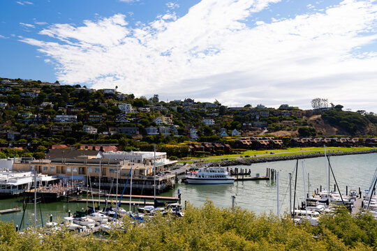 Scenic view of a marina with sailboats and a hillside town in Belvedere California