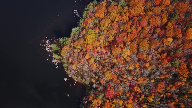 Autumn colors over dense forest near Halifax in Nova Scotia, Canada
