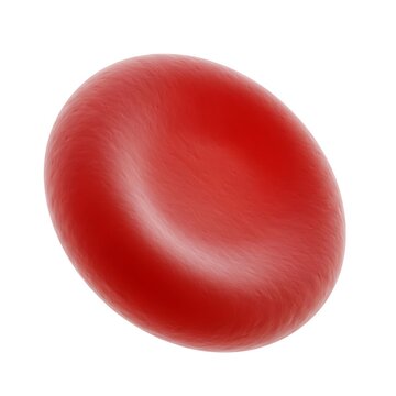 Close-up view of a single red blood cell under magnification