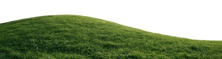 Fototapeta premium A rolling green grassy hill landscape under a clear bright sky.