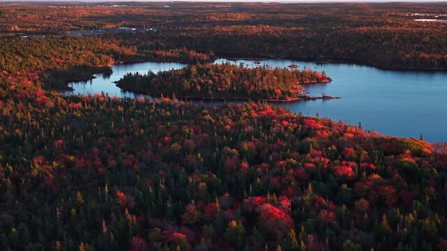 Autumn view of a forest by the lake in Halifax, Nova Scotia, Canada