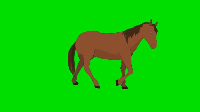 A 2d animation cartoon brown horse walking to the right on animation cartoon on green screen chromakey. ideal for professional video editors content creators stock    