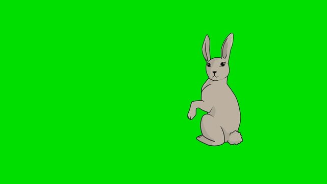 A 2d animation cartoon rabbit standing on hind legs alertly looking around on animation cartoon on green screen chromakey. ideal for professional video editors content creators stock 