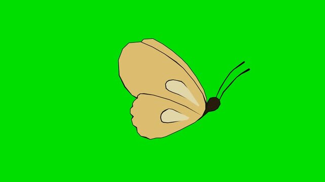 A 2d animation cartoon yellow moth butterfly flying with wings wide open on animation cartoon on green screen chromakey. ideal for professional video editors content creators stock 