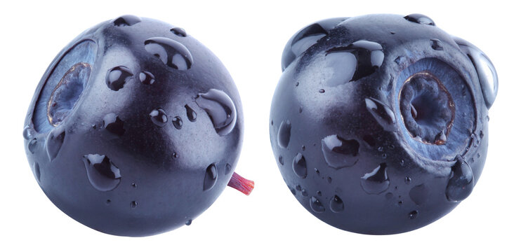 Two ripe dark bilberries placed side by side and covered with water drops isolated on transparent background.