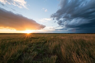 Obraz premium The Sunset Over Expansive Grassland at Dusk Beneath a Dramatic Sky