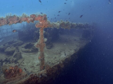 The ship deck of a sunken wreck is lying on the seabed in murky water, dive site wreck of the Vis, Pula, Croatia, Mediterranean
