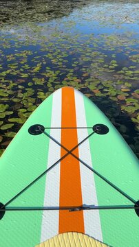 First-person view from stand-up paddleboard (SUP) gliding across lake covered with water lilies surrounded by forest. Outdoor adventure, mindfulness, connection with nature, active leisure.