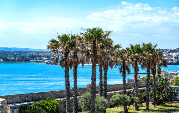 tall palm trees on the sun-drenched Mediterranean coast at Syracuse, beneath a blue sky