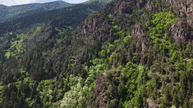 The Breathtaking Natural Beauty of Macka, Trabzon