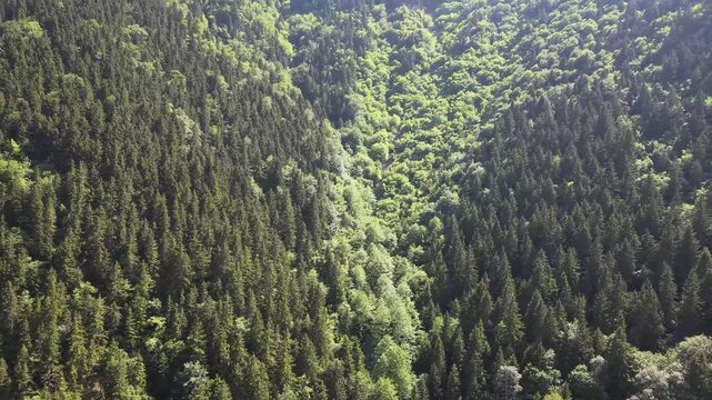 The Breathtaking Natural Beauty of Macka, Trabzon
