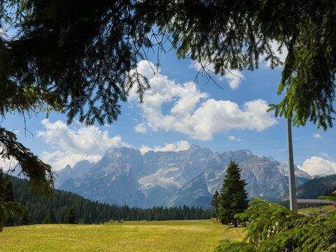 Idyllic mountain landscape in the Alps with blooming meadows in springtime