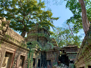 Fototapeta premium Siem Reap, Cambodia - February 20, 2020: Ancient temple engulfed by tree roots in Cambodia