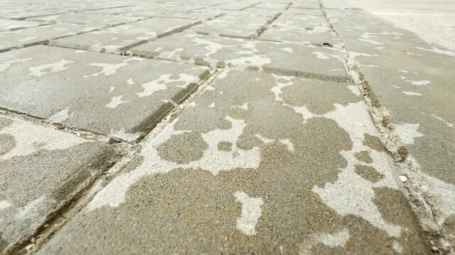 Wet raindrops splatter across stone paving blocks along an empty path. The damp surface dries slowly in the open air. The quiet ground brings a peaceful feeling of calm solitude.