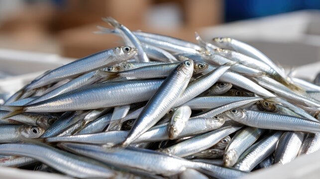Freshly caught fish displayed in a market with silver scales glistening under cinematic lighting for a premium look