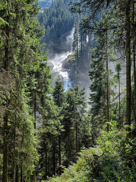 forest in the mountains with krimmler waterfalls in the background 