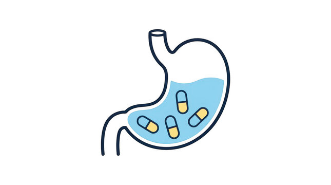 Vector illustration of a human stomach filled with fluid and pill capsules, representing drug absorption, digestion, medication, and gastrointestinal health isolated on transparent background