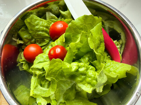 Fresh organic green leaf lettuce with tomatoes from the garden in in stainless steel bowl with ceramic via close up view